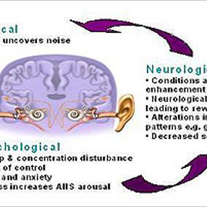 Acute Tinnitus Diagnostic - Mastering Your Life And Tinnitus